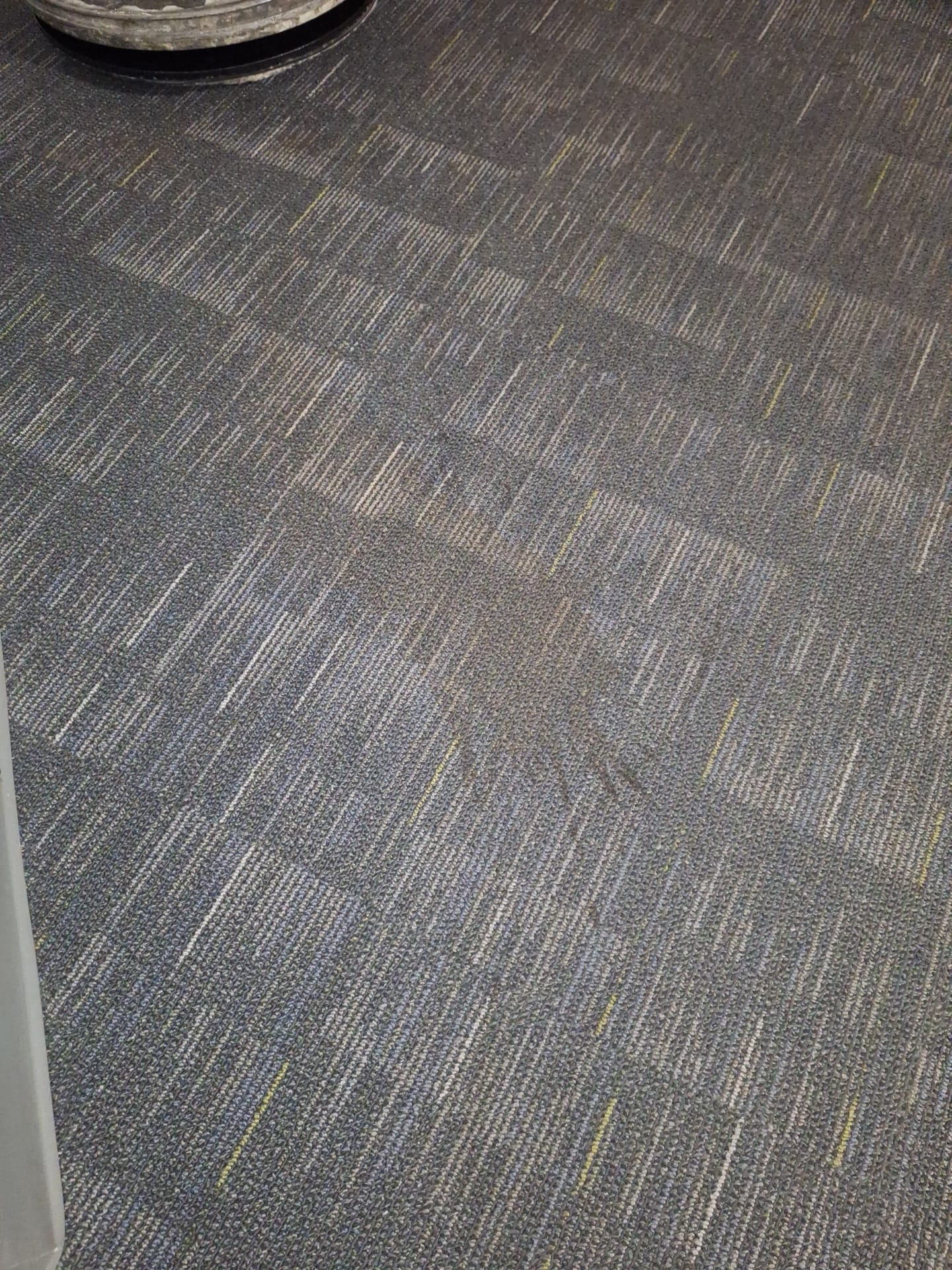 WhatsApp Image 2026-02-27 at 11.40.23 PM (2).jpeg